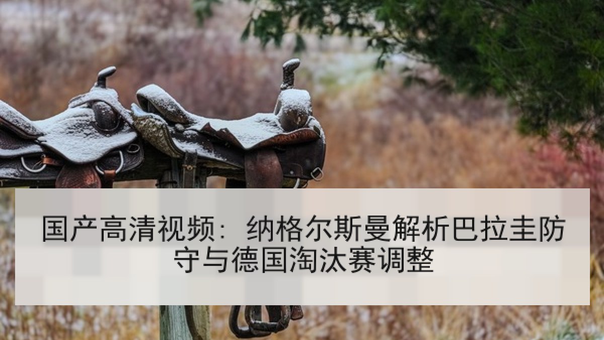 国产高清视频: 纳格尔斯曼解析巴拉圭防守与德国淘汰赛调整 国产高清视频: 纳格尔斯曼解析巴拉圭防守与德国淘汰赛调整